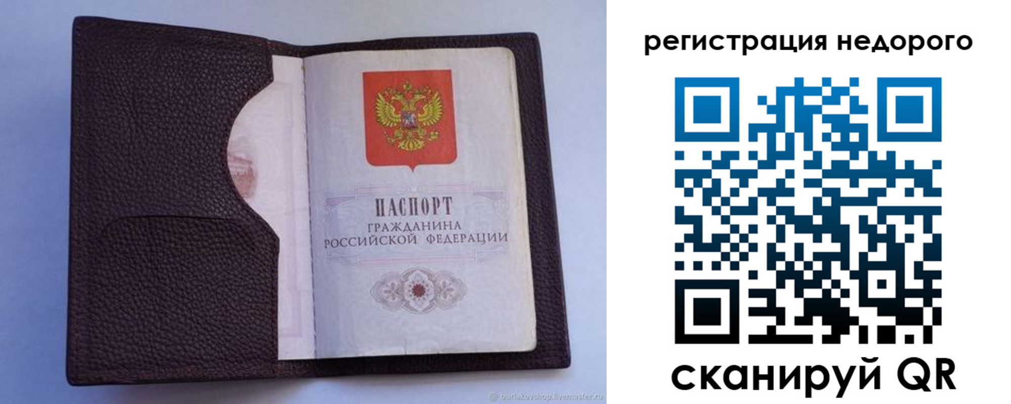 где прописаться в Фрязино